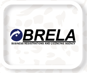 Business Registrations and Licensing Agency