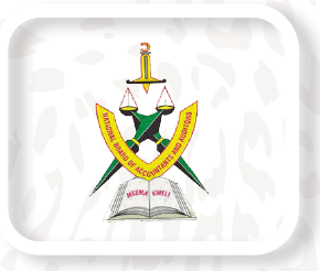 Institute of Accountancy Arusha