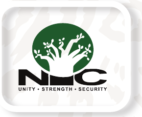 NIC